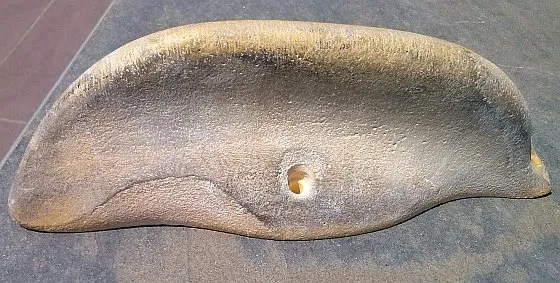 Presa_arrampicata_prima_Lavaggio_Ultrasuoni