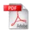 pdf icon